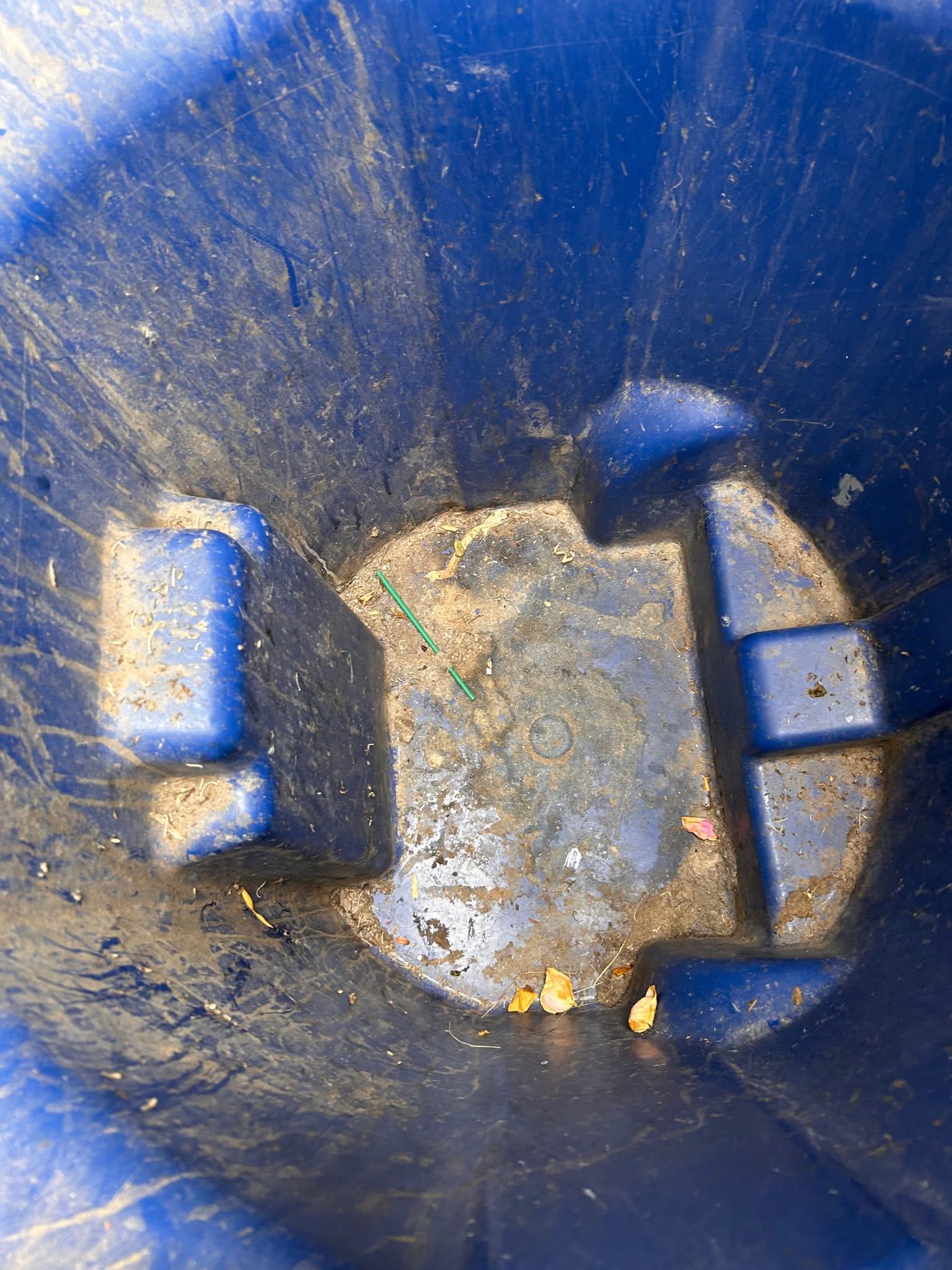 Bin before cleaning